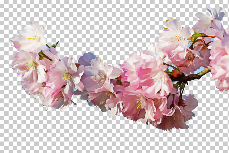 Artificial Flower PNG, Clipart, Artificial Flower, Blossom, Cherry Blossom, Crown, Cut Flowers Free PNG Download