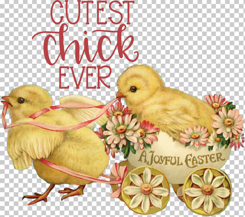 Happy Easter Cutest Chick Ever PNG, Clipart, Chicken, Christmas Day, Easter Basket, Easter Bunny, Easter Egg Free PNG Download