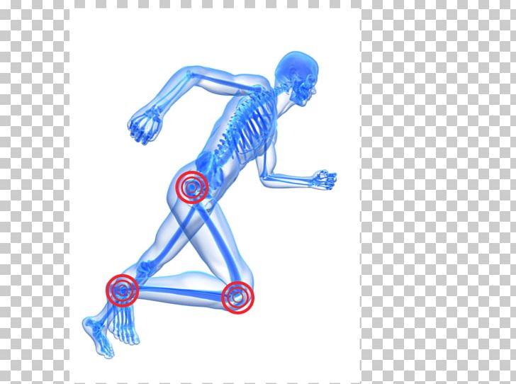 Human Skeleton Running Stock Photography Human Body PNG, Clipart, Arm, Art, Barefoot Running, Blue, Fantasy Free PNG Download