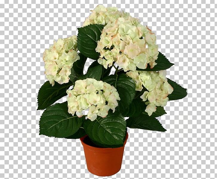 Hydrangea Flowerpot Houseplant PNG, Clipart, Artificial Flower, Cachepot, Color, Cornales, Cut Flowers Free PNG Download