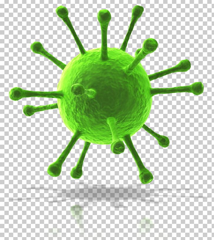 Immune System Infection Immunity Infectious Disease Nutrition PNG, Clipart, Athlete, Computer Wallpaper, Disease, Green, Immune System Free PNG Download