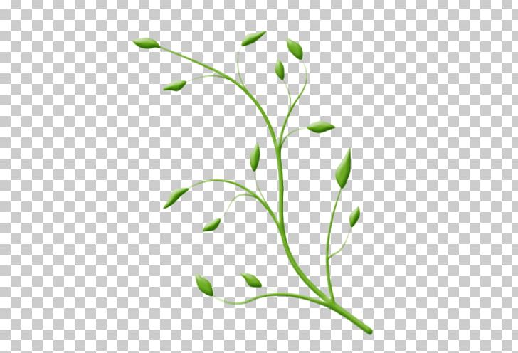 Plant Stem Leaf Flower Theatre PNG, Clipart, Branch, Branching, Flora, Flower, Grass Free PNG Download