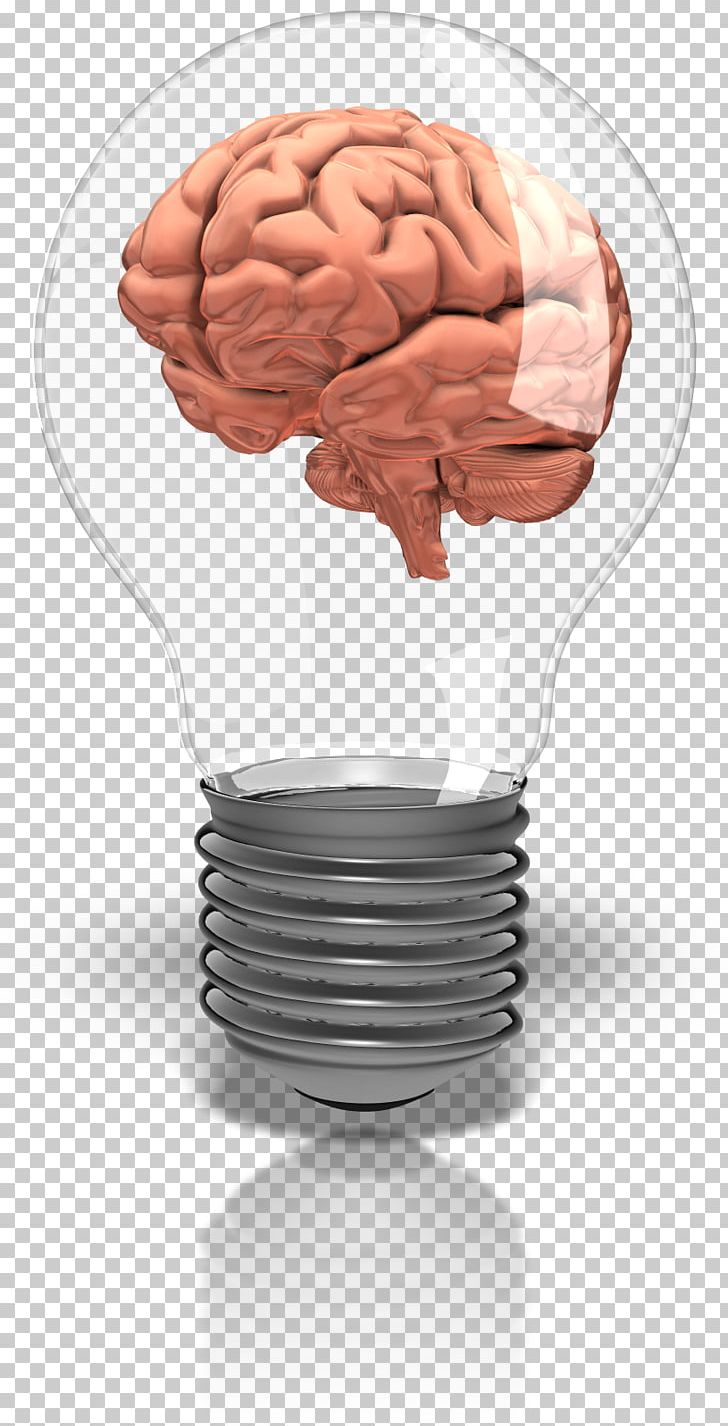 Incandescent Light Bulb Animation Information Brain PNG, Clipart, Angyalka Street, Animation, Brain, Child, Incandescence Free PNG Download