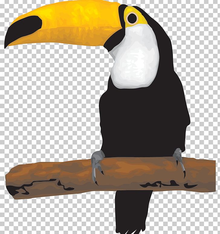 Animation PNG, Clipart, Animation, Beak, Bird, Bird Vector, Cartoon Free PNG Download