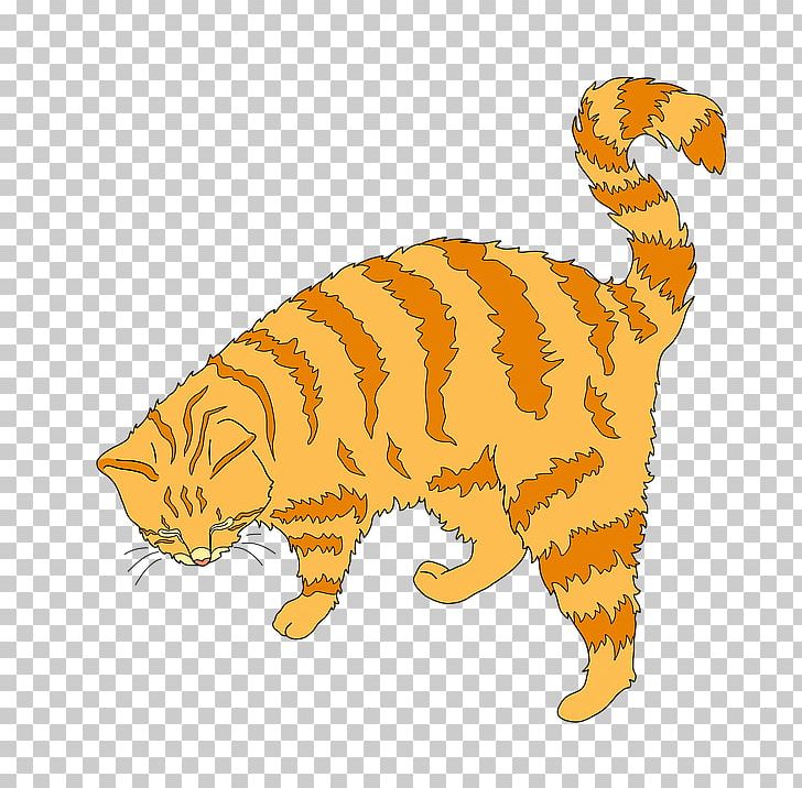Kitten Whiskers Tiger Tabby Cat Wildcat PNG, Clipart, Animal, Animal Figure, Animals, Big Cats, Carnivoran Free PNG Download