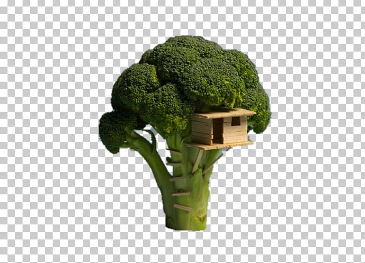 Tree House Veggie Burger Building PNG, Clipart, Architectural Plan, Architecture, Brocoli, Building, Child Free PNG Download