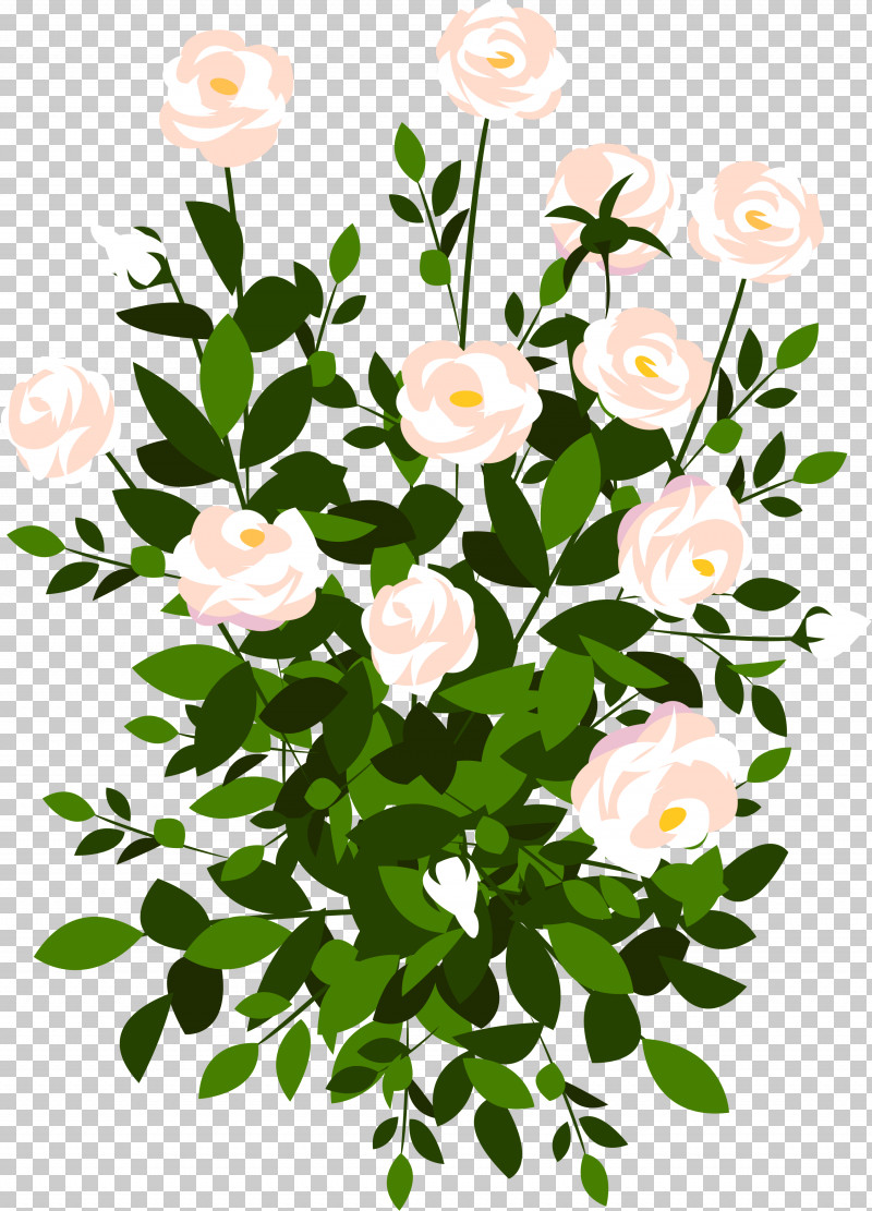 Rose PNG, Clipart, Branch, Flower, Petal, Plant, Rose Free PNG Download