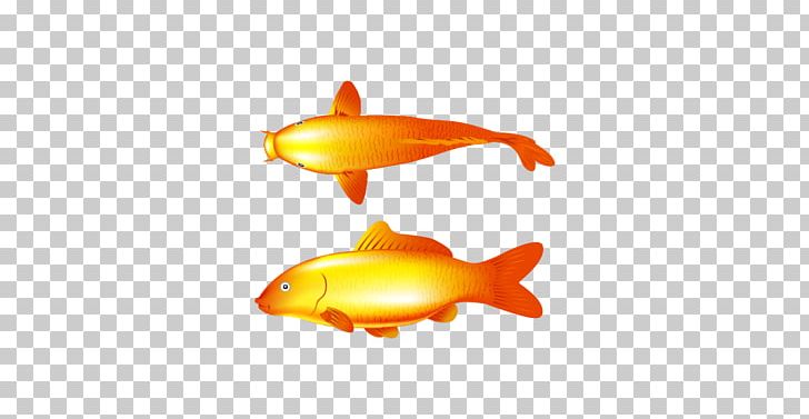 Goldfish Common Carp PNG, Clipart, Animals, Bony Fish, Carp, Common Carp, Fin Free PNG Download
