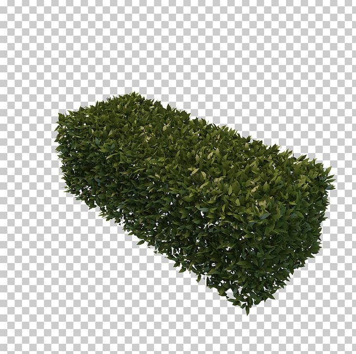 Hedge 3D Modeling Fence Box PNG, Clipart, 3d Computer Graphics, 3d Modeling, Best, Box, Computer Icons Free PNG Download