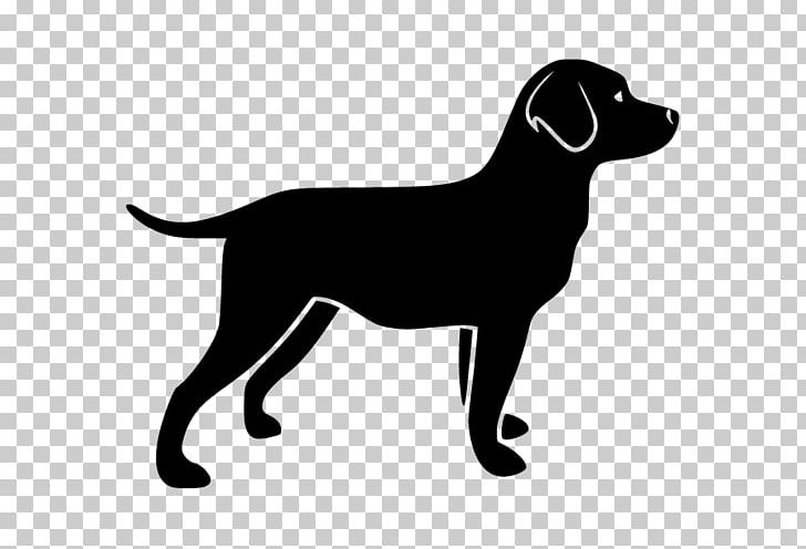 Labrador Retriever PNG, Clipart, Black, Carnivoran, Companion Dog, Dog Breed, Dog Like Mammal Free PNG Download