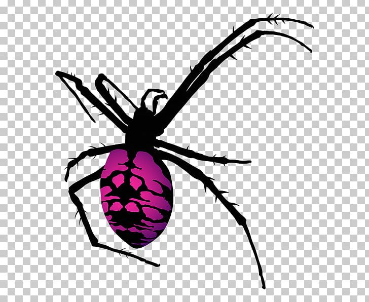 Yellow Garden Spider Spider Web Eye Orange PNG, Clipart, Anderson, Arachnid, Argiope, Arthropod, Artwork Free PNG Download