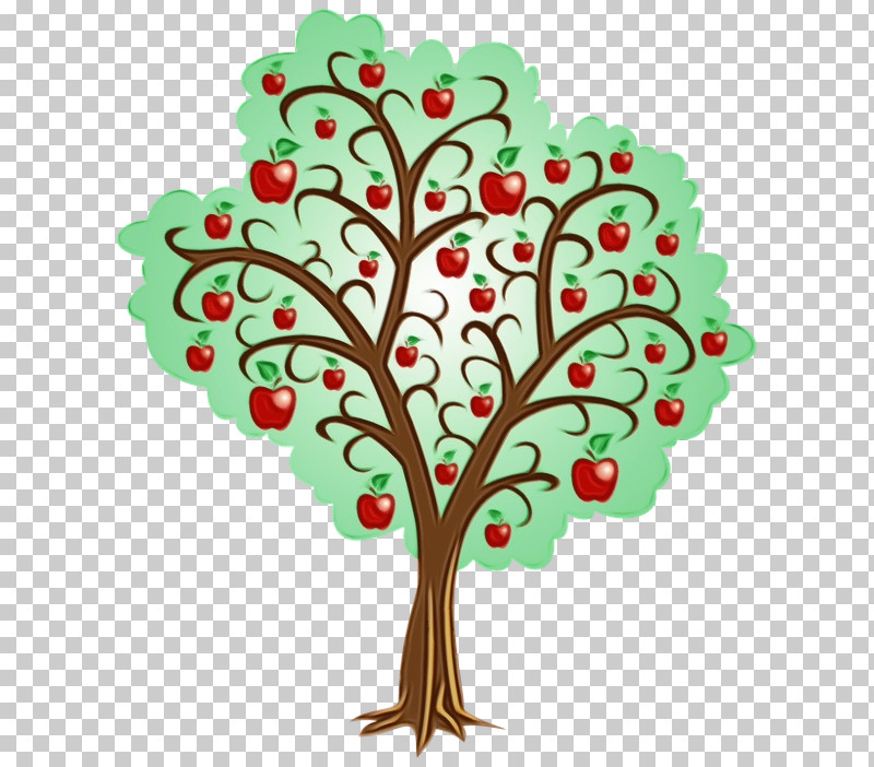 Leaf Tree Woody Plant Plant Stem Branch PNG, Clipart, Branch, Cartoon, Drawing, Leaf, Paint Free PNG Download