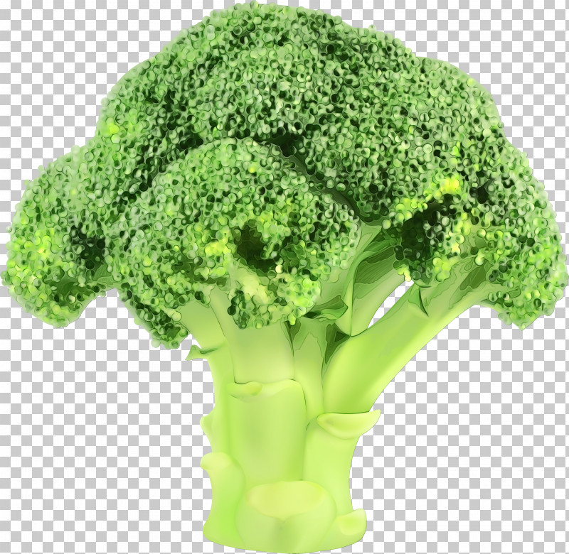 Cauliflower PNG, Clipart, Broccoflower, Broccoli, Cabbage, Cauliflower, Flower Free PNG Download