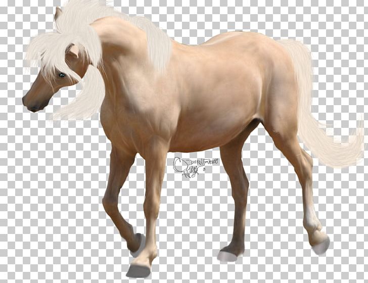 American Paint Horse Foal Mane Mustang Andalusian Horse PNG, Clipart, Akhalteke, American Paint Horse, Andalusian Horse, Animal Figure, Buckskin Free PNG Download