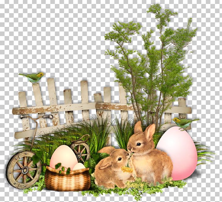 Easter Bunny Easter Palm Domestic Rabbit Holiday PNG, Clipart, Child, Christmas Ornament, Domestic Rabbit, Easter, Easter Bunny Free PNG Download