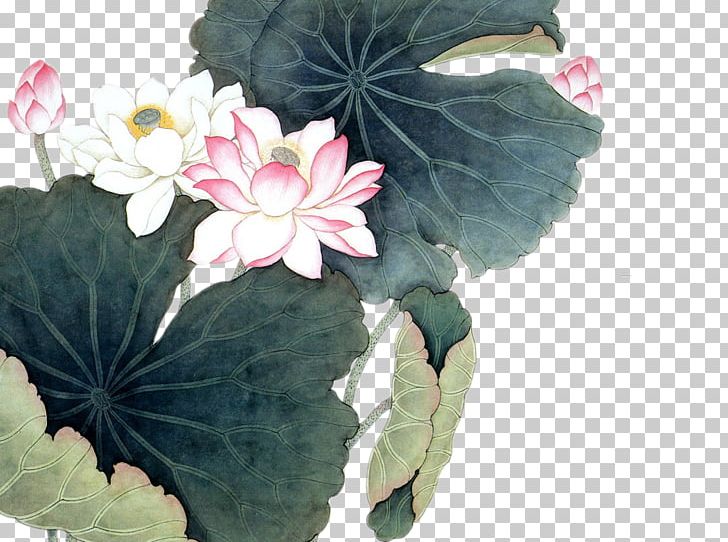 Nelumbo Nucifera Chinese Painting Art PNG, Clipart, Birdandflower Painting, Bloom, Chinese, Chinese Style, Drawing Free PNG Download