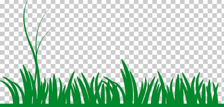 Lawn PNG, Clipart, Commodity, Computer Wallpaper, Desktop Wallpaper, Garden, Grasgroen Free PNG Download