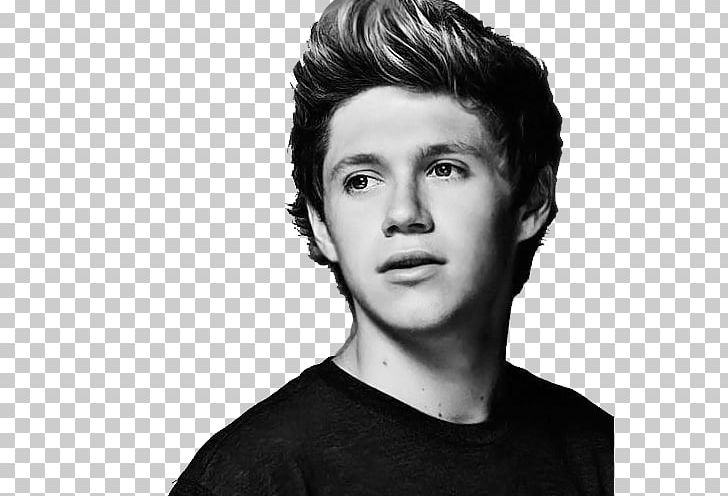 Niall Horan Mullingar One Direction Slow Hands PNG, Clipart, Artist, Black And White, Black Hair, Cheek, Chin Free PNG Download