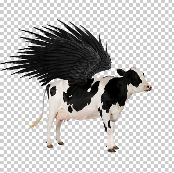 Cattle Chicken Pig Calf Sheep PNG, Clipart, Agriculture, Animal, Animals, Bovine Spongiform Encephalopathy, Calf Free PNG Download