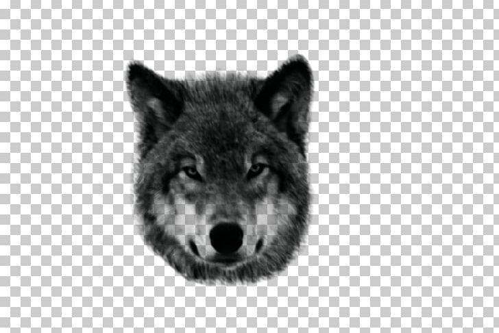Dog Coyote Giphy PNG, Clipart, Animals, Aullido, Black And White, Black Wolf, Blue Picture Frames Free PNG Download