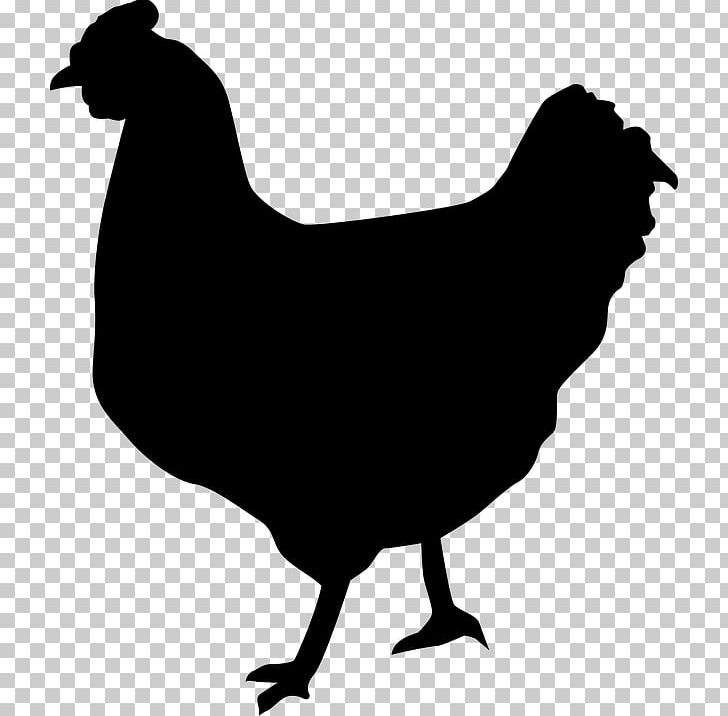 Silkie Chicken Nugget Rooster Chicken As Food Poultry PNG, Clipart, Animal Farm, Beak, Bird, Black And White, Chicken Free PNG Download