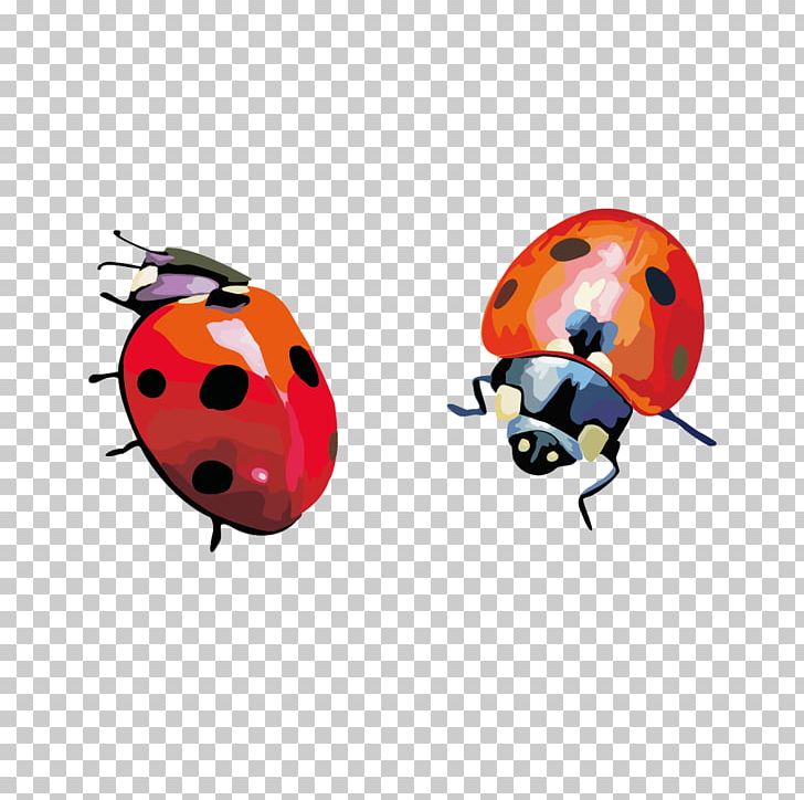Coccinella Septempunctata Insect PNG, Clipart, Beetle, Coccinella, Download, Encapsulated Postscript, Euclid Free PNG Download
