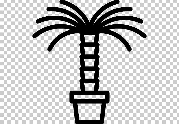 Viveros De Palmeras URBAPALMS Washingtonia Robusta Tree Ornamental Plant PNG, Clipart, Air, Art, Black And White, Cement, Dust Free PNG Download