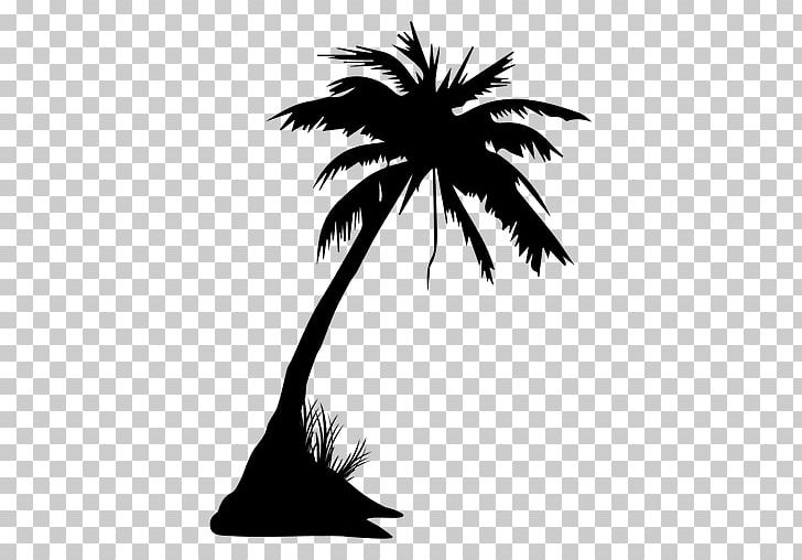 Arecaceae Tree Drawing PNG, Clipart, Animation, Arecaceae, Arecales, Black And White, Borassus Flabellifer Free PNG Download