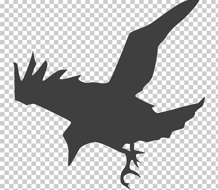 Common Raven Crow PNG, Clipart, Animals, Art, Beak, Bird, Bird Of Prey Free PNG Download