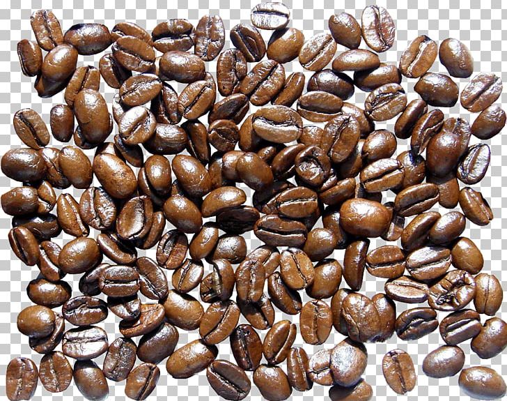 Jamaican Blue Mountain Coffee Coffee Bean Starbucks PNG, Clipart, Bean, Beans, Coffee, Coffee Aroma, Coffee Bean Free PNG Download