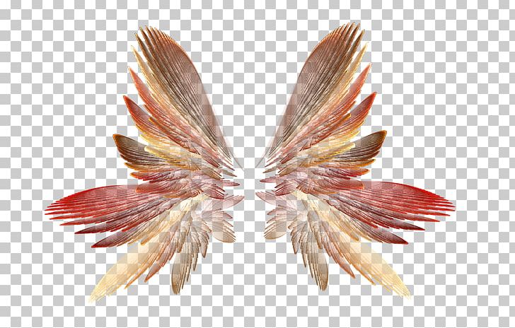 Photography Others Encapsulated Postscript PNG, Clipart, Angel Wing, Brush, Download, Encapsulated Postscript, Feather Free PNG Download