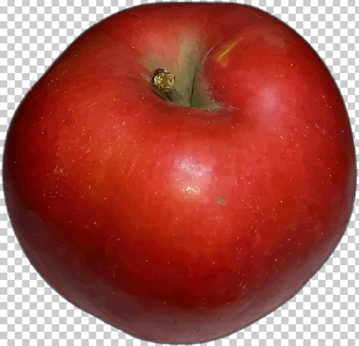Apple McIntosh PNG, Clipart, Accessory Fruit, Apple, Australian Desert Raisin, Bush Tomato, Diet Food Free PNG Download