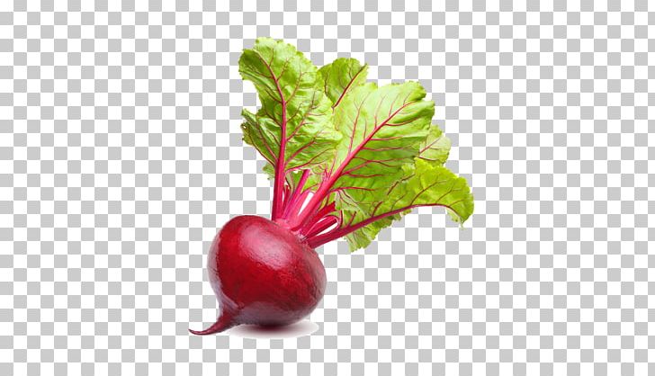 Mangelwurzel Chard Sugar Beet Beetroot Vegetable PNG, Clipart, Beet, Beetroot, Berry, Beta, Carrot Free PNG Download