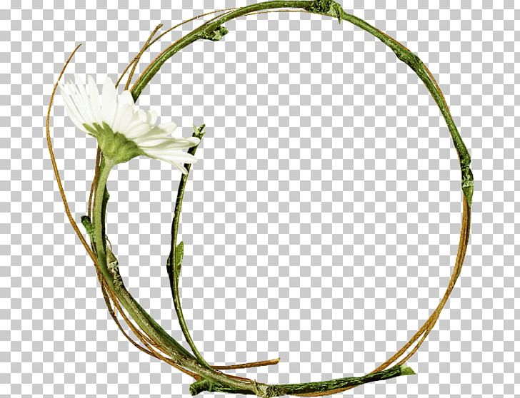 Wreath Twig Flower PNG, Clipart, Branch, Circle, Data, Disk, Download Free PNG Download