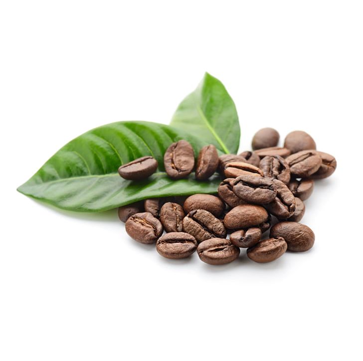 Coffee Bean Green Coffee Extract Roasting PNG, Clipart, Bean, Burr Mill, Caffeine, Cocoa Bean, Coffe Free PNG Download