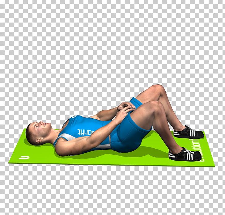 Crunch Physical Fitness Sit-up Rectus Abdominis Muscle Abdominal External Oblique Muscle PNG, Clipart, Abdomen, Abdominal External Oblique Muscle, Arm, Balance, Bench Free PNG Download