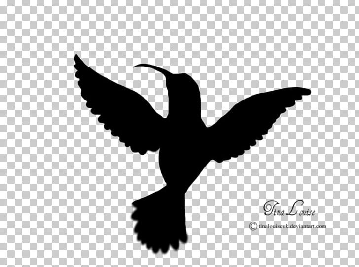 Hummingbird Stencil Silhouette PNG, Clipart, Animal, Animals, Art, Beak, Bird Free PNG Download