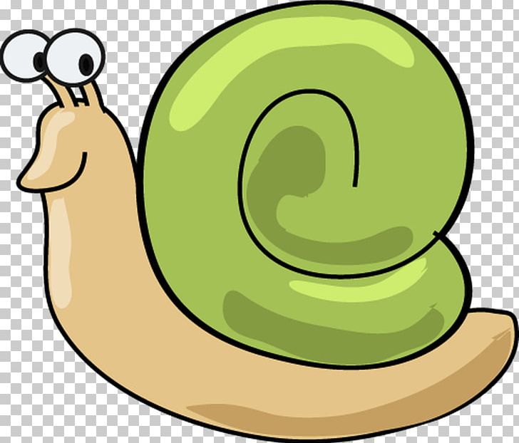 National Primary School Education Snail Child PNG, Clipart,  Free PNG Download