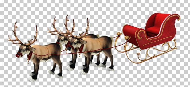 Santa Claus Reindeer Rudolph Sled Christmas PNG, Clipart, Animal Figure,  Antler, Blog, Cart, Christmas Free PNG