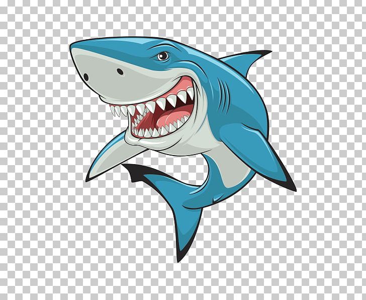 Shark PNG, Clipart, Animals, Cartilaginous Fish, Drawing, Fish, Great White Shark Free PNG Download