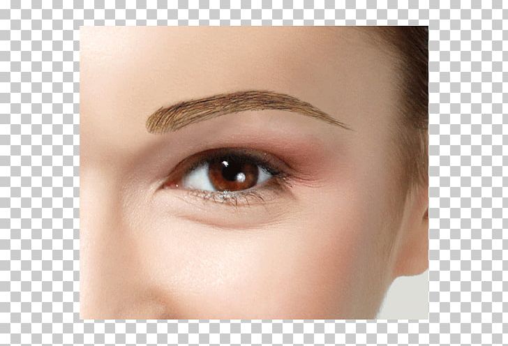 Eyelash Extensions Eyebrow Hair Wig PNG, Clipart, Artificial Hair Integrations, Beauty, Brown Hair, Cheek, Chin Free PNG Download