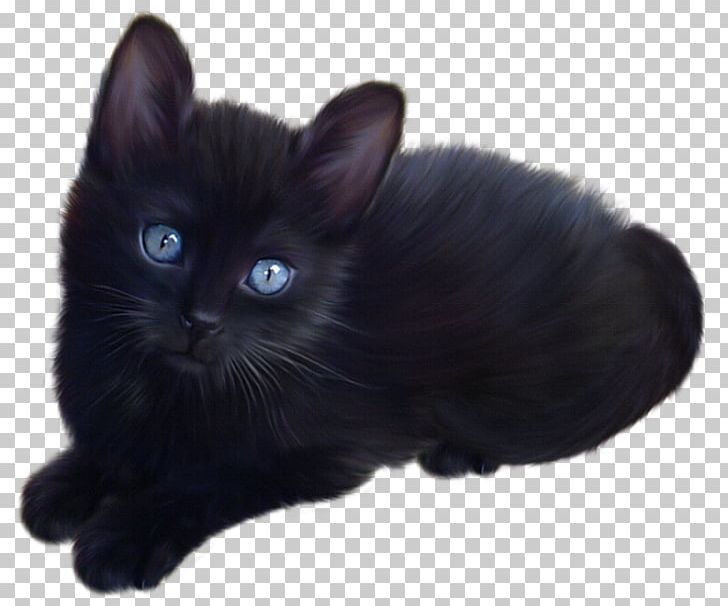 Kitten Siamese Cat Black Cat PNG, Clipart, Animals, Asian Semi Longhair, Black, Black Cat, Bombay Free PNG Download
