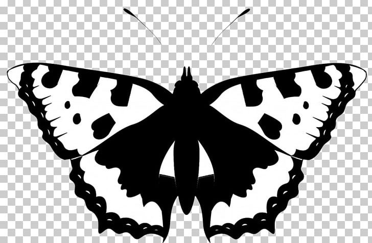 Butterfly Silhouette Black And White PNG, Clipart, Arthropod, Black And White, Brush Footed Butterfly, Butterfly, Capricorn Free PNG Download
