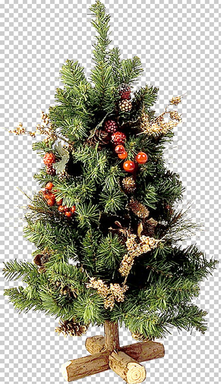 Christmas Tree Fir Christmas Ornament PNG, Clipart, Christmas, Christmas Decoration, Christmas Ornament, Christmas Tree, Conifer Free PNG Download