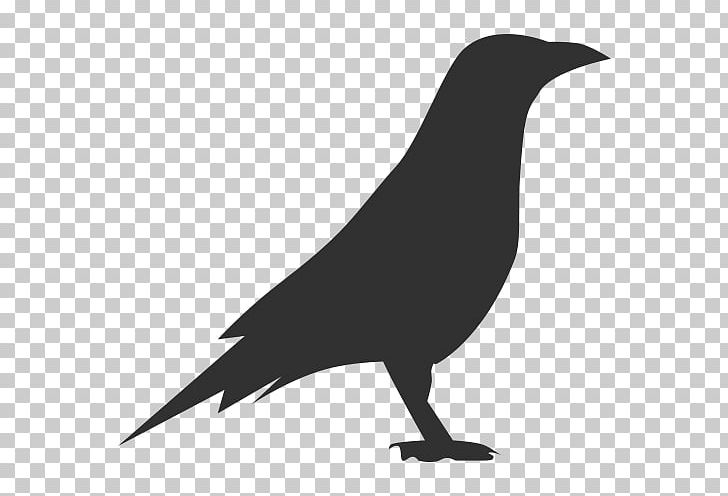 Computer Icons Chloe Sparrow PNG, Clipart, Beak, Bird, Black And White, Chloe Sparrow, Common Raven Free PNG Download