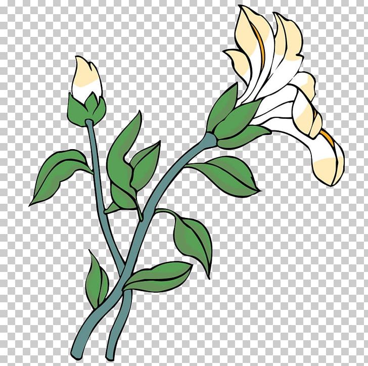 Floral Design Lilium Flower PNG, Clipart, Branch, Calla Lily, Designer, Euclidean Vector, Flora Free PNG Download