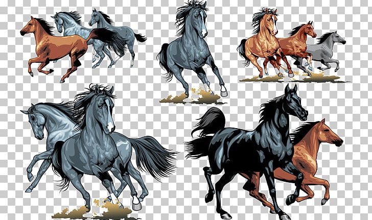 Horse Equestrianism PNG, Clipart, Animals, Art, Bar Chart, Canter And Gallop, Chart Free PNG Download