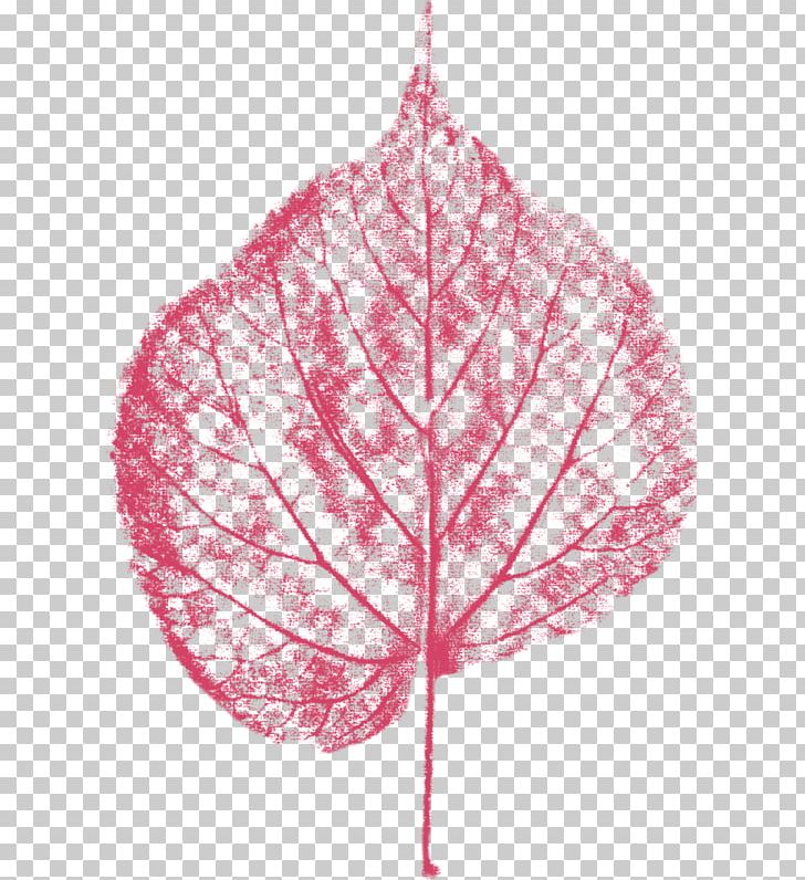 Leaf Pink RGB Color Model PNG, Clipart, Autumn Leaves, Cartoon, Color, Deciduous, Deciduous Leaves Free PNG Download