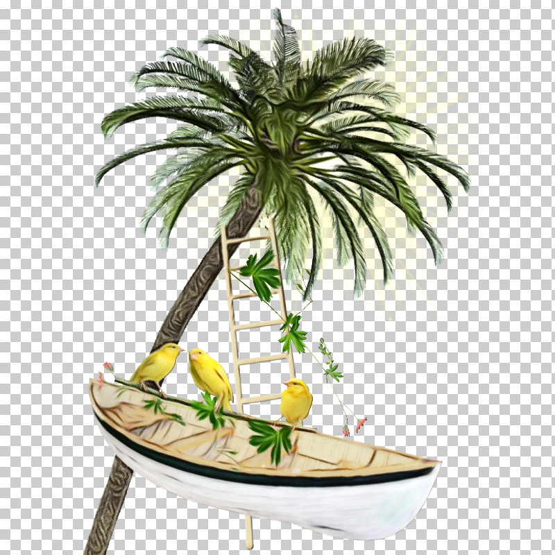 Palm Tree PNG, Clipart, Arecales, Coconut, Date Palm, Flowerpot, Houseplant Free PNG Download