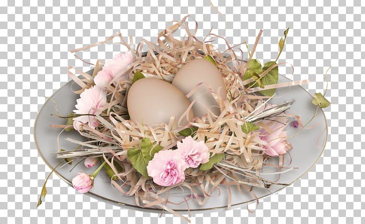 Egg PNG, Clipart, Bird Nest, Chicken Egg, Download, Egg, Eggshell Free PNG Download